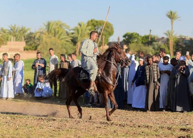 مولد قرية أسمنت مولد قرية أسمنت