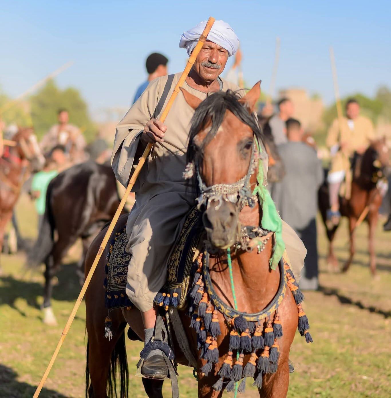أحد الخيالة في المولد أحد الخيالة في المولد