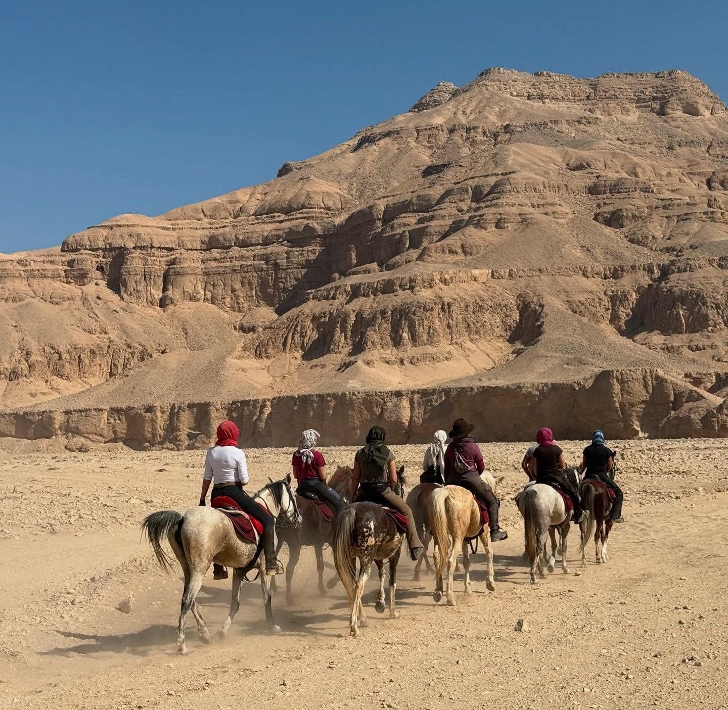 فوج من السائحين على متن رحلات الخيول فى جبال البر الغربى فوج من السائحين على متن رحلات الخيول فى جبال البر الغربى