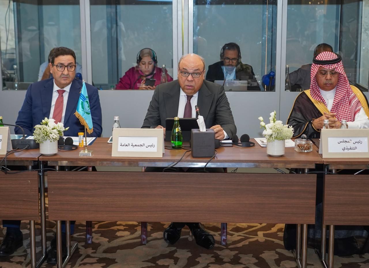 مصر ترأس الجمعية العامة للمنظمة العربية للطيران المدني لعامي (3) مصر ترأس الجمعية العامة للمنظمة العربية للطيران المدني لعامي (3)