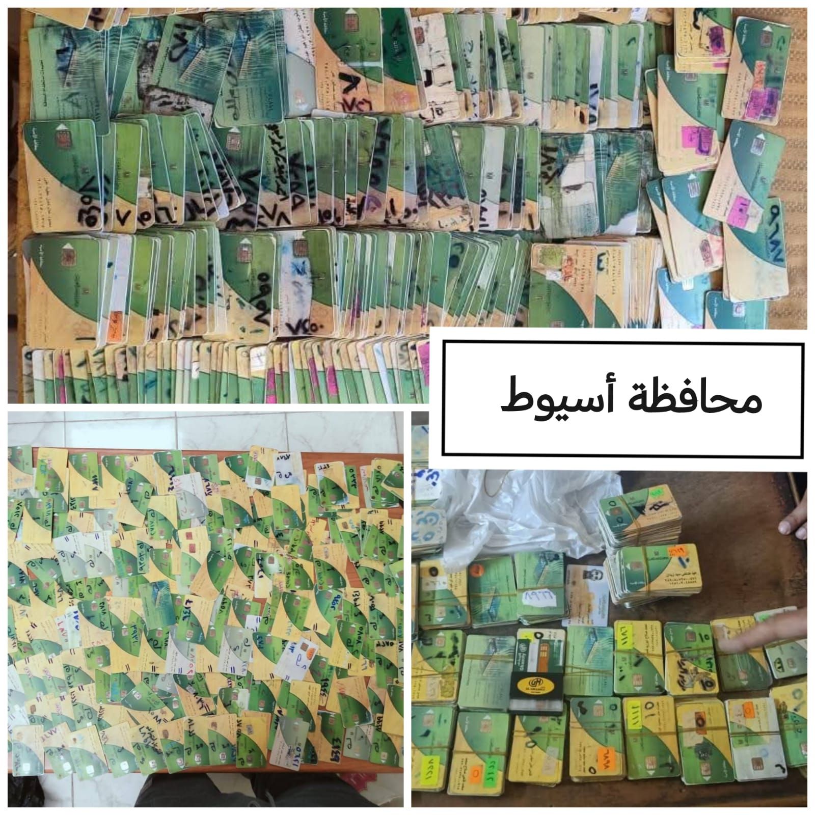 أسيوط