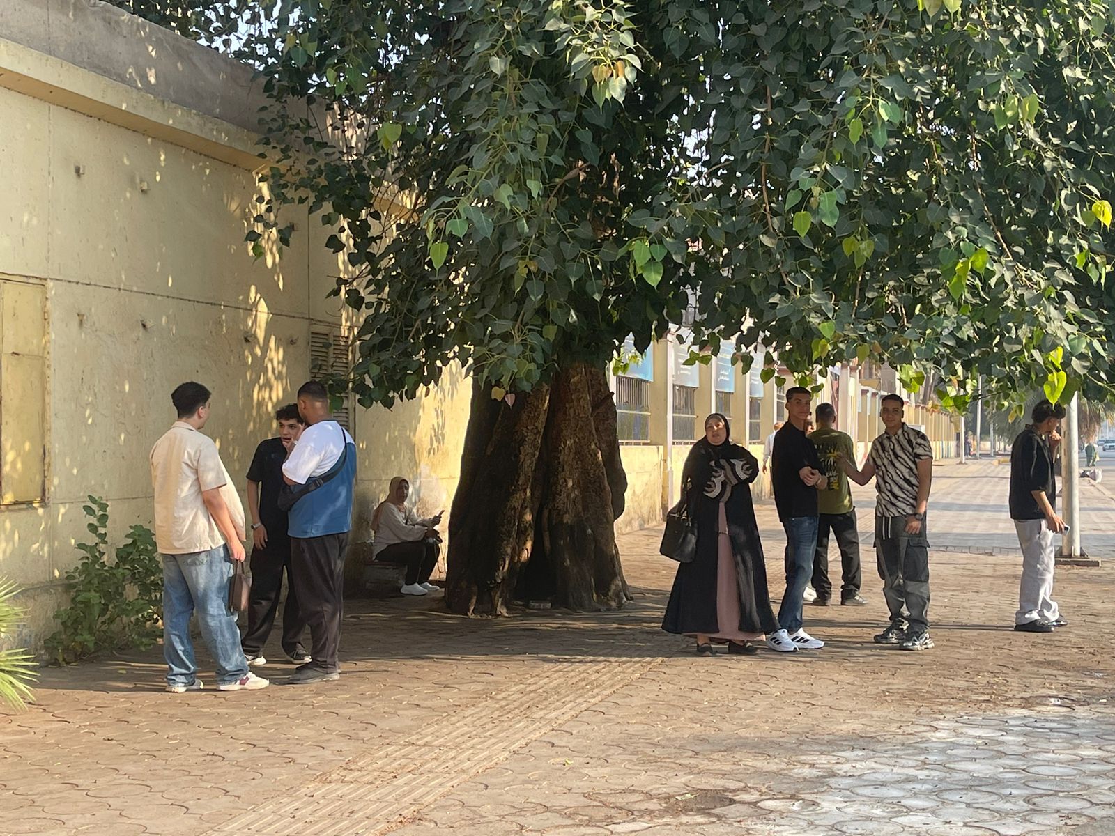 الثانوية العامة الثانوية العامة