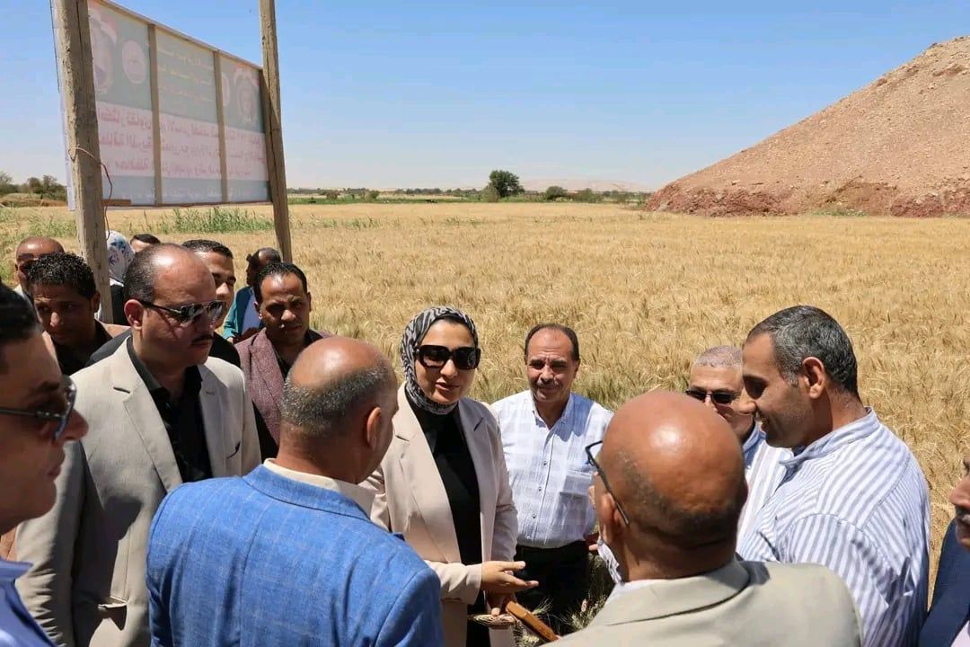 المحافظ تشيد نتائج إكثار أصناف القمح المحافظ تشيد نتائج إكثار أصناف القمح