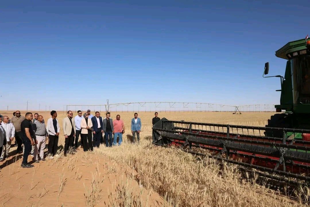 المحافظ تشهد حصاد القمح بالداخلة المحافظ تشهد حصاد القمح بالداخلة