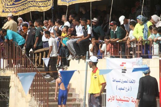 الجمهور الجمهور