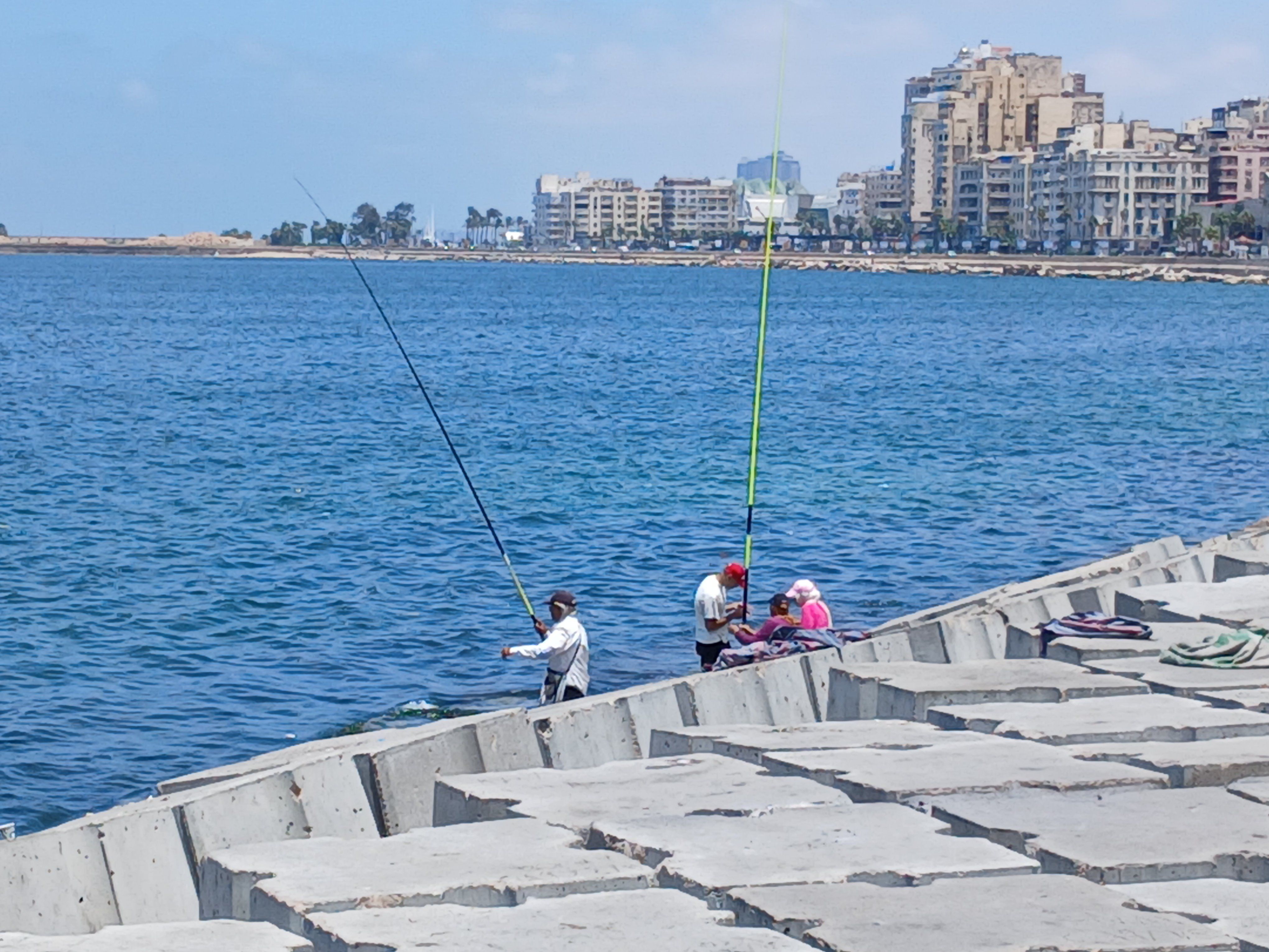 ارتفاع درجات الحرارة بالإسكندرية ارتفاع درجات الحرارة بالإسكندرية