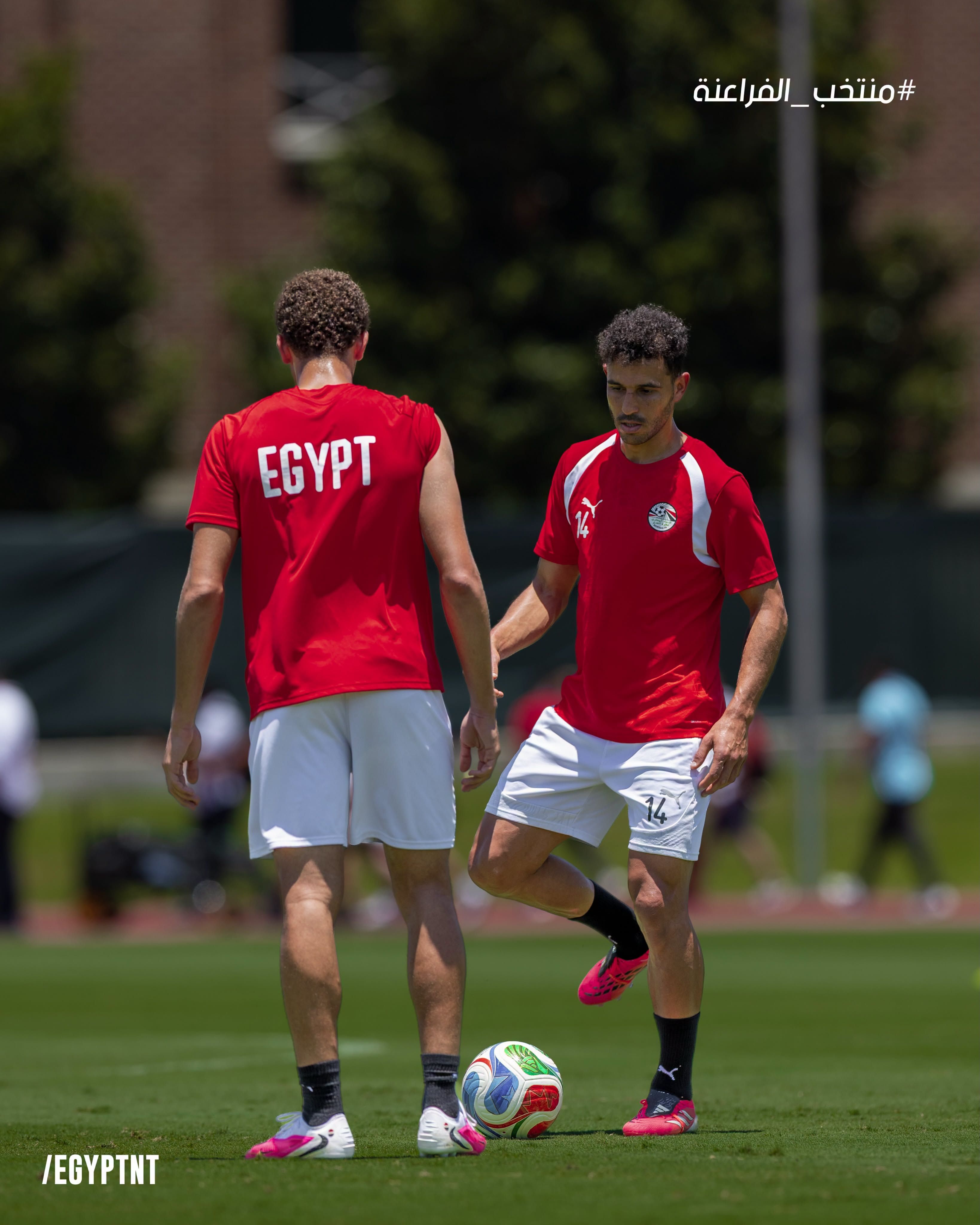 تدريب منتخب مصر (3) تدريب منتخب مصر (3)