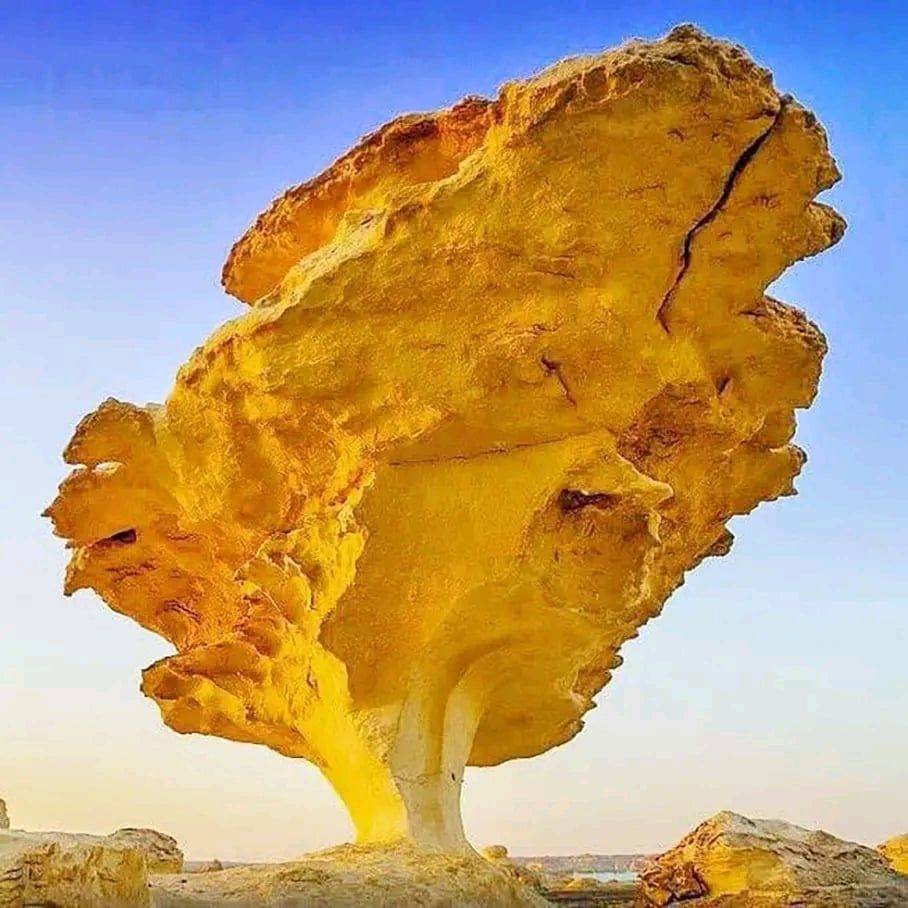 صخور ملونة ونادرة بالفرافرة صخور ملونة ونادرة بالفرافرة