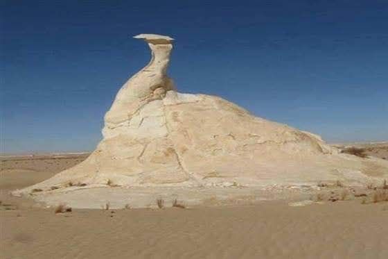 صخرة الدجاجة بالوادى الجديد صخرة الدجاجة بالوادى الجديد