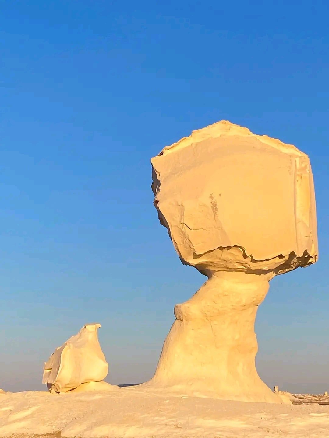 صخرة المشروم بالوادي الجديد صخرة المشروم بالوادي الجديد