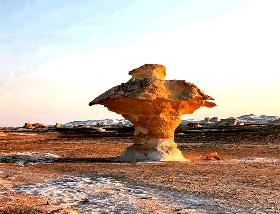 صخور الوادى الجديد المجسمة بالفرافرة صخور الوادى الجديد المجسمة بالفرافرة