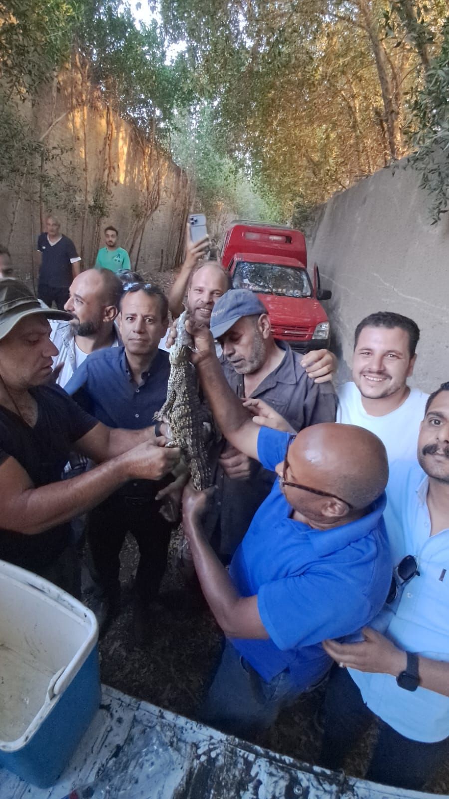 العثور على تمساح شبرامنت بالجيزة (3) العثور على تمساح شبرامنت بالجيزة (3)