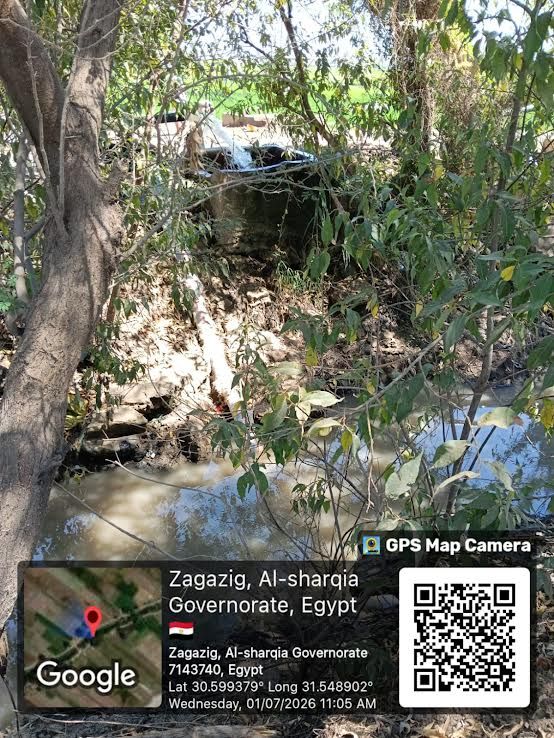 وصول المياه للترع بعد تدخل المحافظة وصول المياه للترع بعد تدخل المحافظة