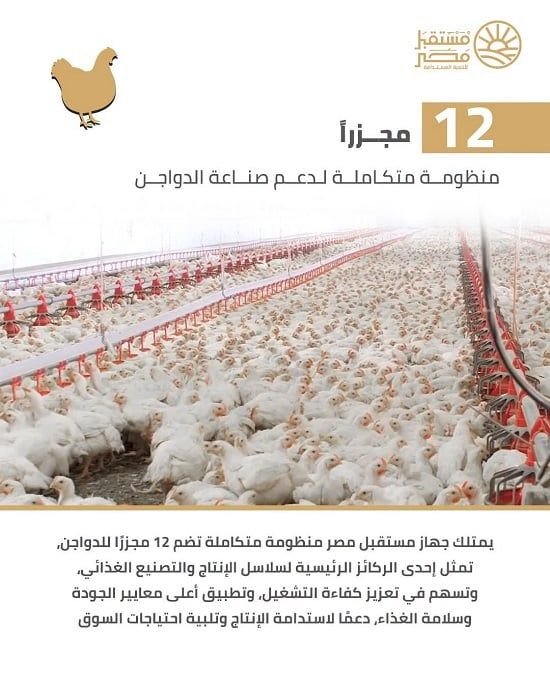 منظومة متكاملة لدعم صناعة الدواجن منظومة متكاملة لدعم صناعة الدواجن