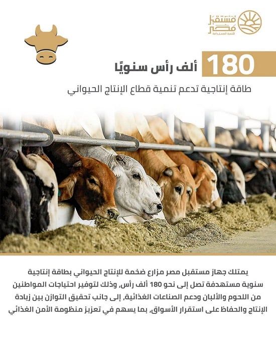 قطاع الإنتاج الحيواني قطاع الإنتاج الحيواني