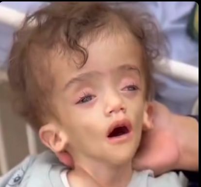 عصام النبيه عصام النبيه