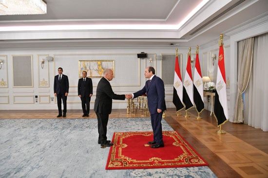 الرئيس السيسى وهانى أبو ريدة الرئيس السيسى وهانى أبو ريدة