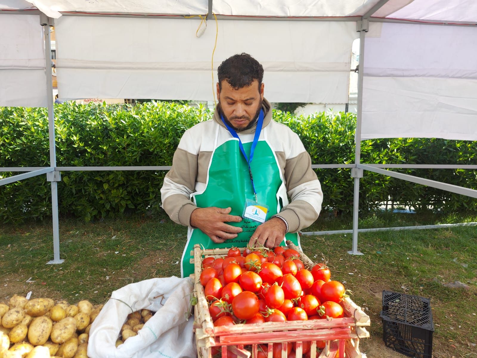 بيع الخضروات بيع الخضروات