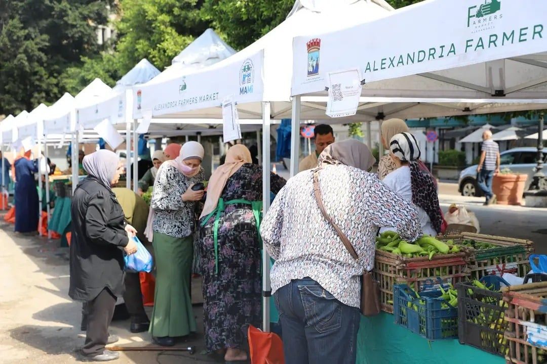 سوق المزارعين الاسبوعى سوق المزارعين الاسبوعى