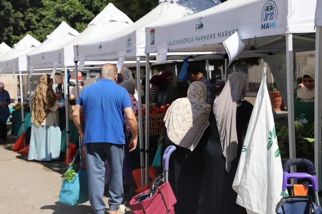 سوق المزارعين سوق المزارعين
