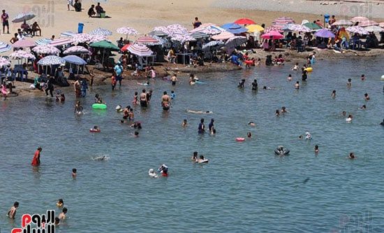 موجة حر تضرب الجزائر موجة حر تضرب الجزائر
