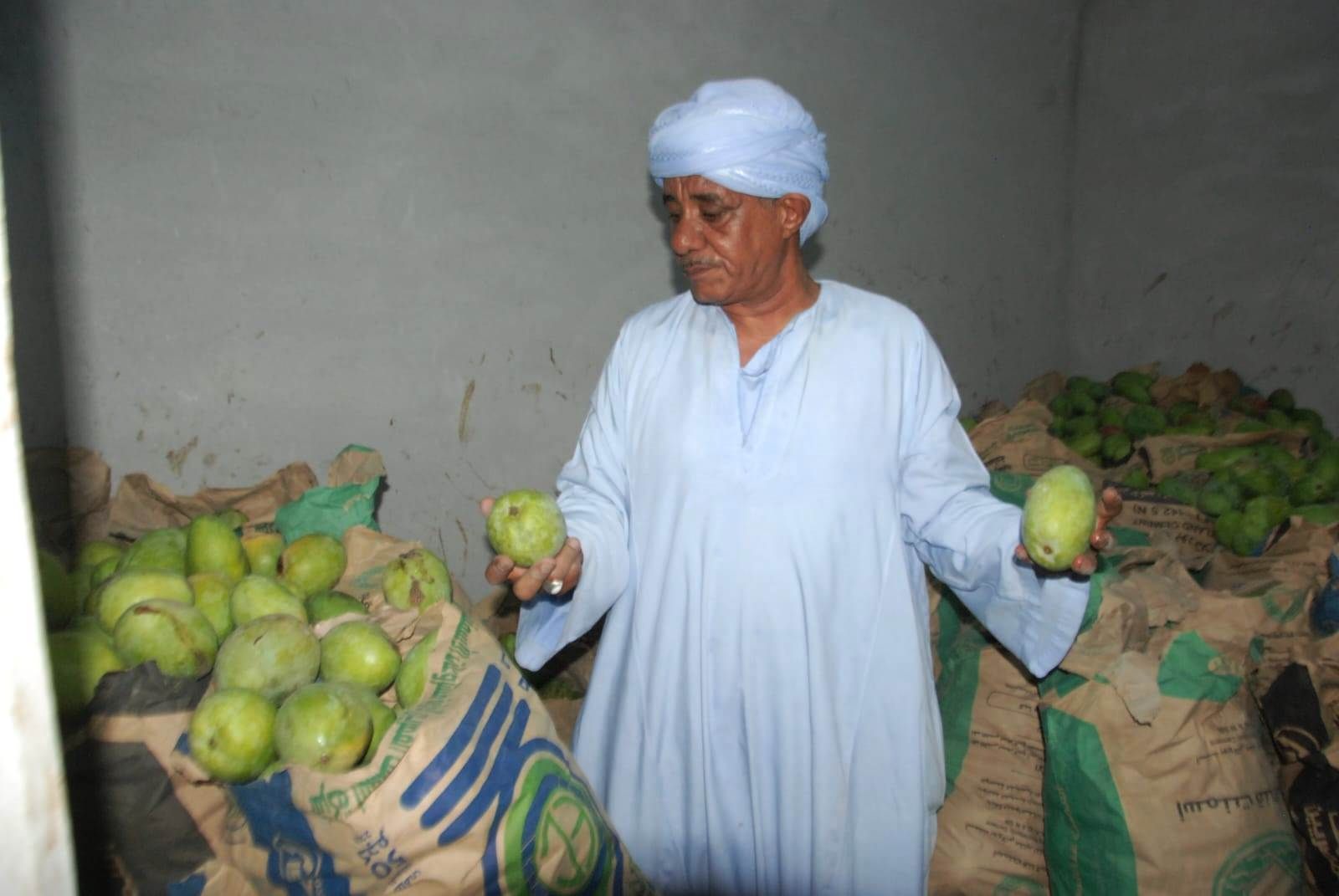 صاحب المزرعة يشرح أنواع المانجا فى الأسواق صاحب المزرعة يشرح أنواع المانجا فى الأسواق