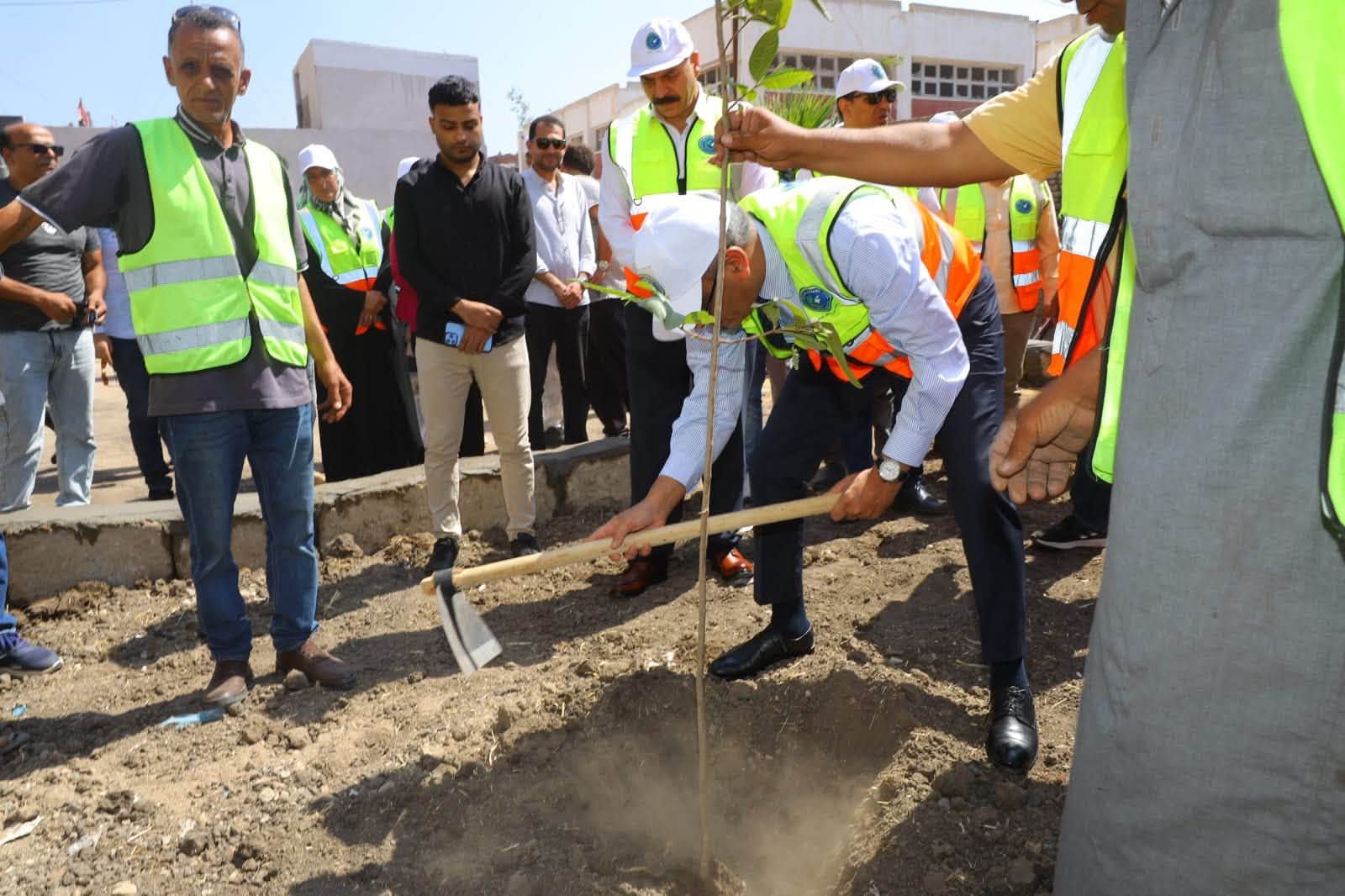 محافظ كفر الشيخ يزرع الاشجار بمدينة مسير محافظ كفر الشيخ يزرع الاشجار بمدينة مسير