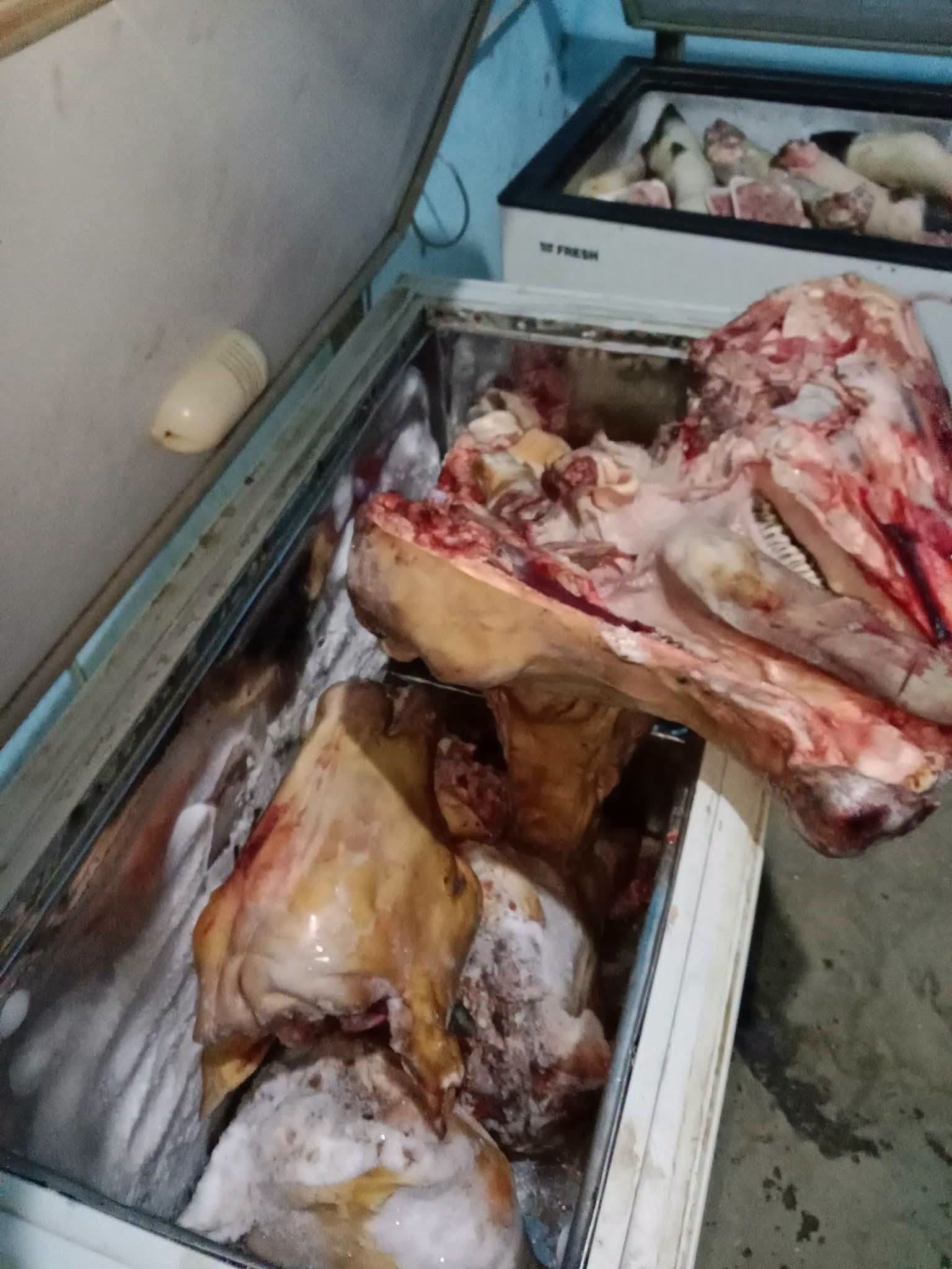 لحوم مضبوطه لحوم مضبوطه
