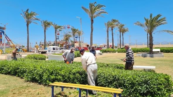 الاهتمام بالمسطحات الخضراء الاهتمام بالمسطحات الخضراء
