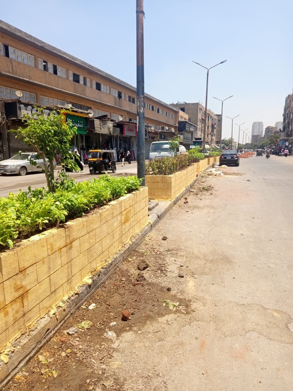 زراعة الجزيرة الوسطى بشارع العامل الأول فى إمبابة زراعة الجزيرة الوسطى بشارع العامل الأول فى إمبابة
