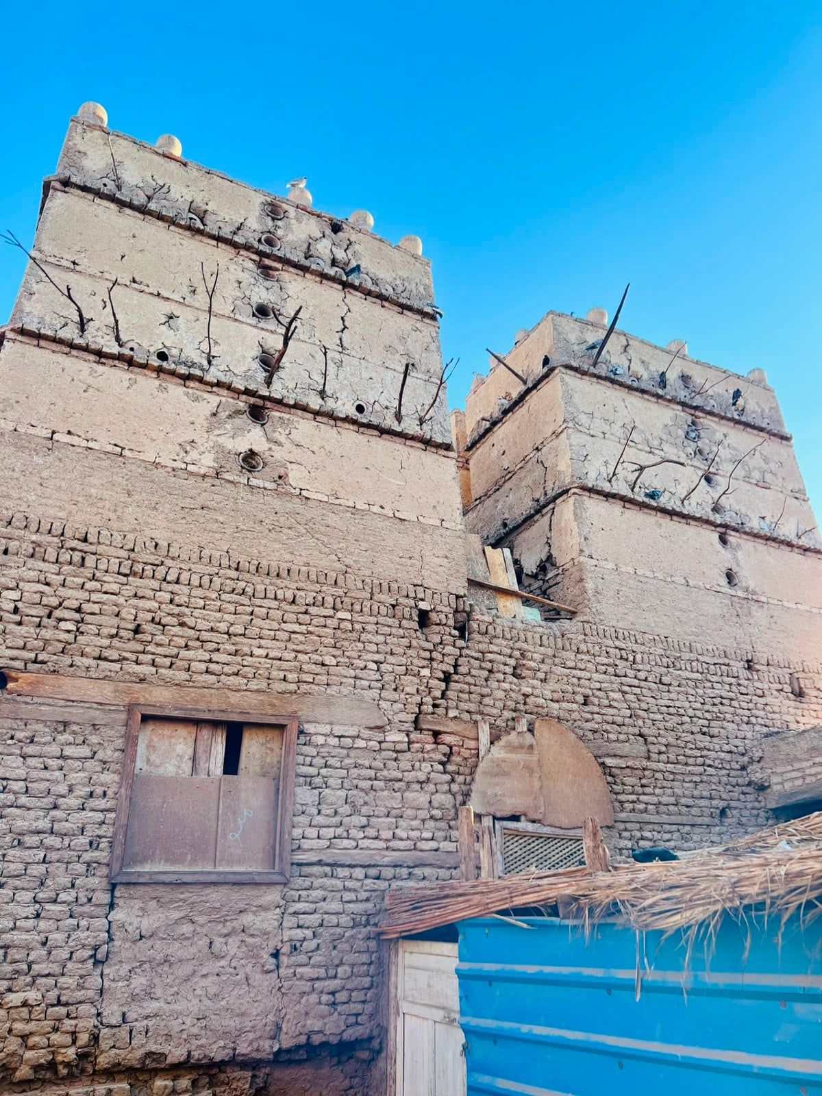 برج حمام عمره يزيد عمره 100 عام برج حمام عمره يزيد عمره 100 عام
