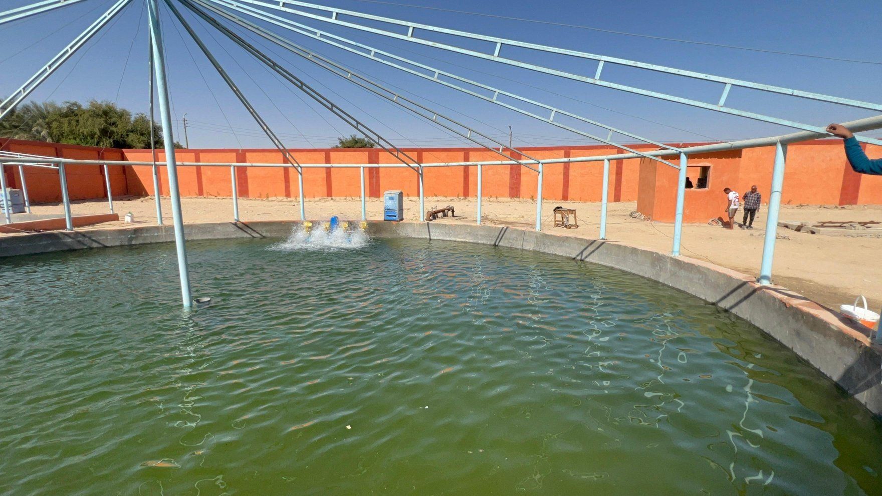 المزرعة النموذجية للإنتاج السمكى والحيوانى فى قرية الرزيقات المزرعة النموذجية للإنتاج السمكى والحيوانى فى قرية الرزيقات