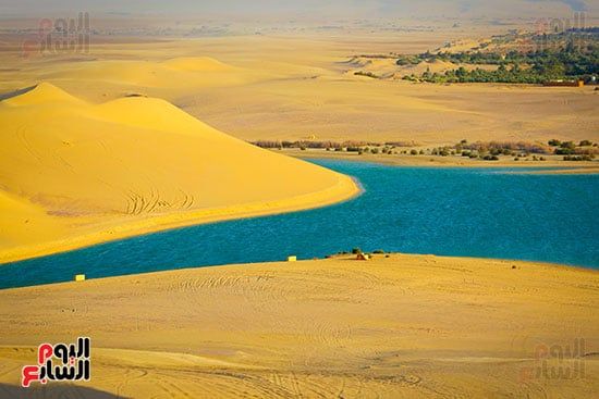 لوحات بديعة من صنع الطبيعة.. جماليات المناظر الخلابة فى محافظة الفيوم (12) لوحات بديعة من صنع الطبيعة.. جماليات المناظر الخلابة فى محافظة الفيوم (12)