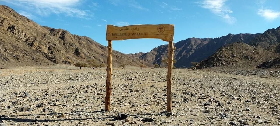 مدخل وادى حلوس مدخل وادى حلوس