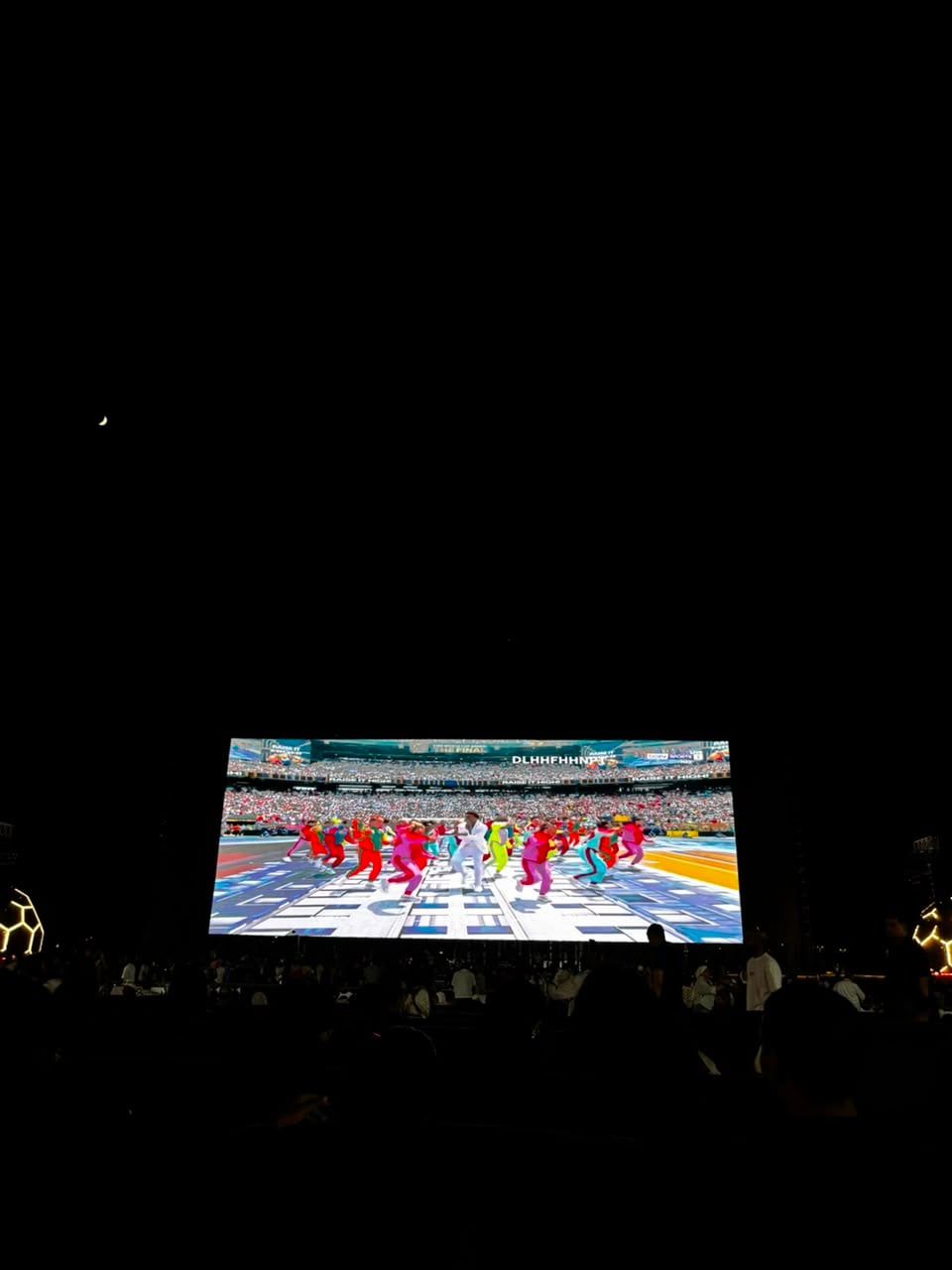 الجمهور يشاهد حفل ختام نهائى كأس العالم فى EFZ (1) الجمهور يشاهد حفل ختام نهائى كأس العالم فى EFZ (1)