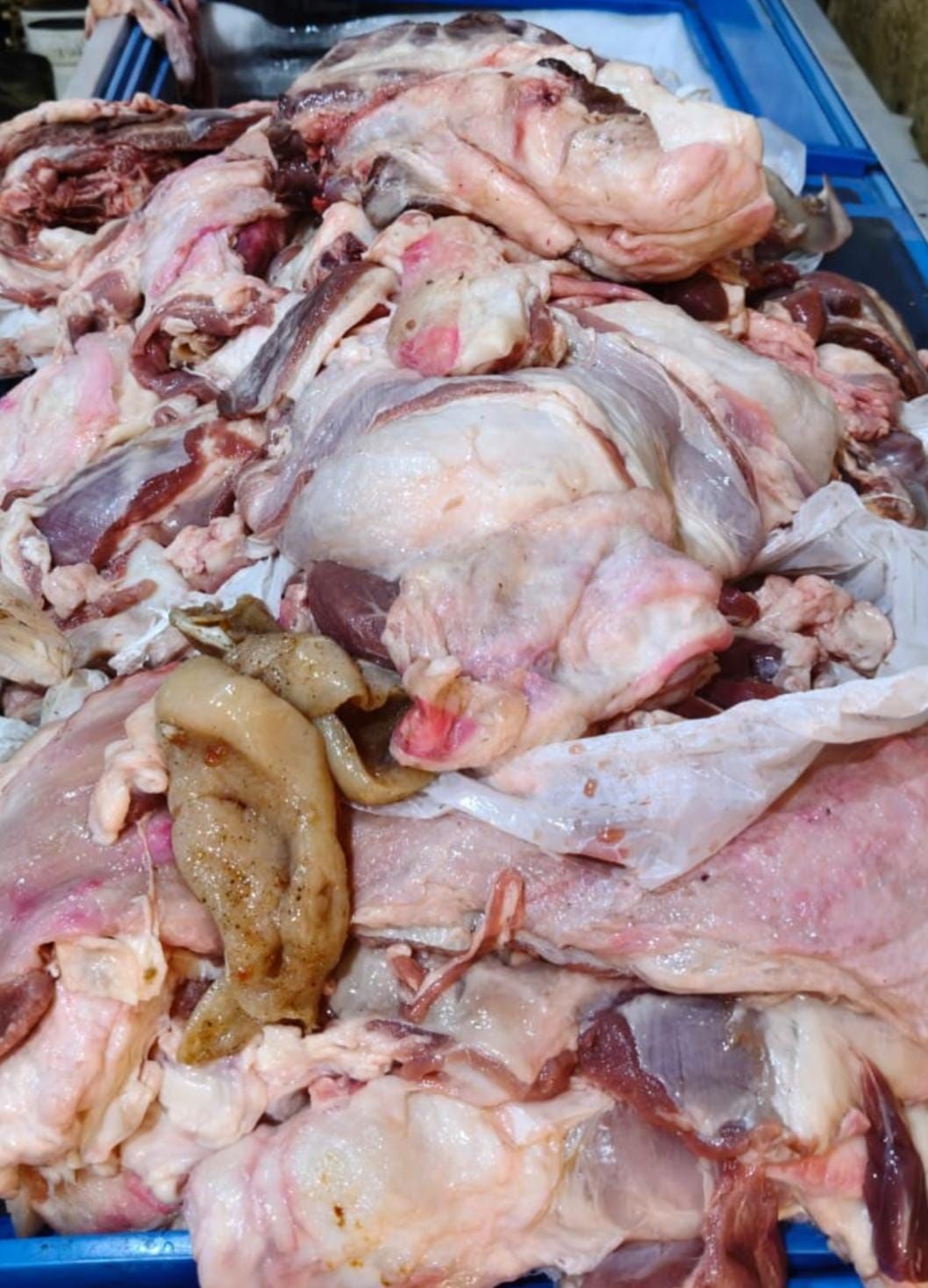 جانب من المضبوطات جانب من المضبوطات