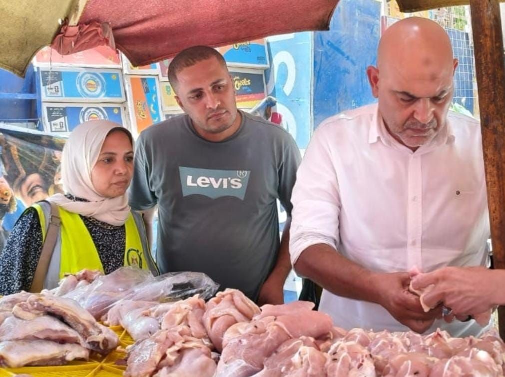 فحص الدواجن خلال الحملة فحص الدواجن خلال الحملة