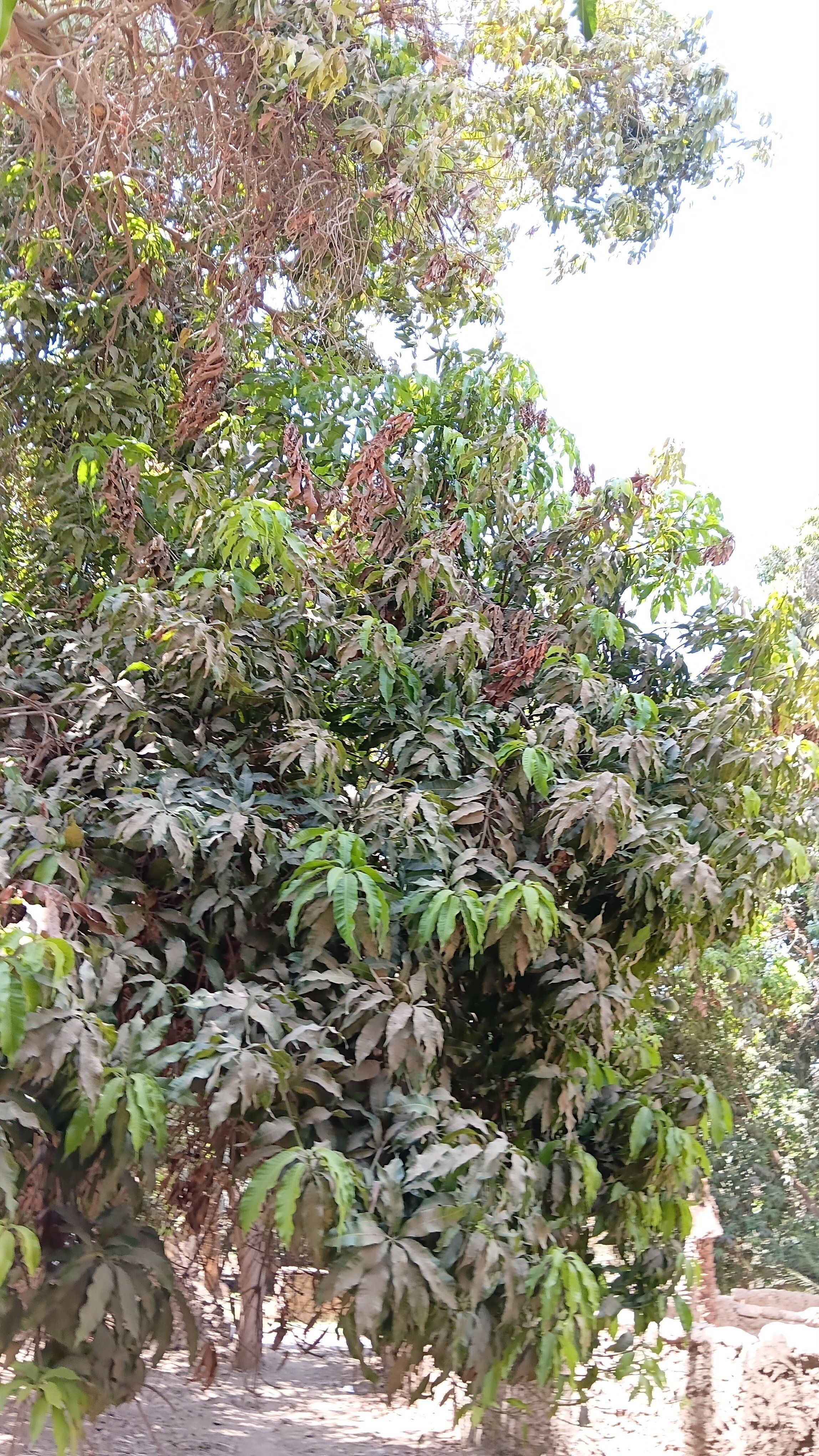 موسم خير للجميع موسم خير للجميع