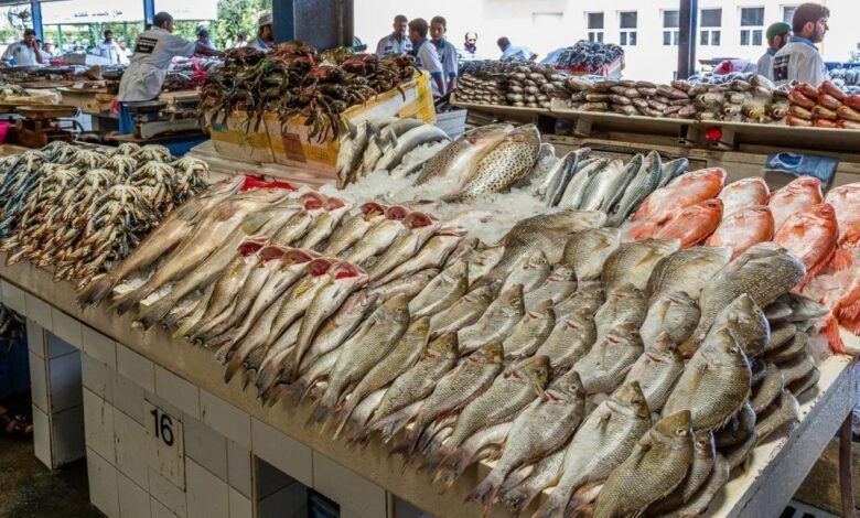 الاسماك اليوم، بوابة النافذة