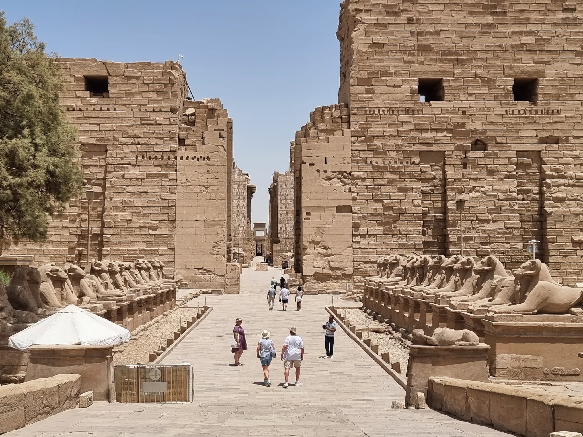 زيارات الأجانب فى قلب معابد الكرنك بالأقصر زيارات الأجانب فى قلب معابد الكرنك بالأقصر