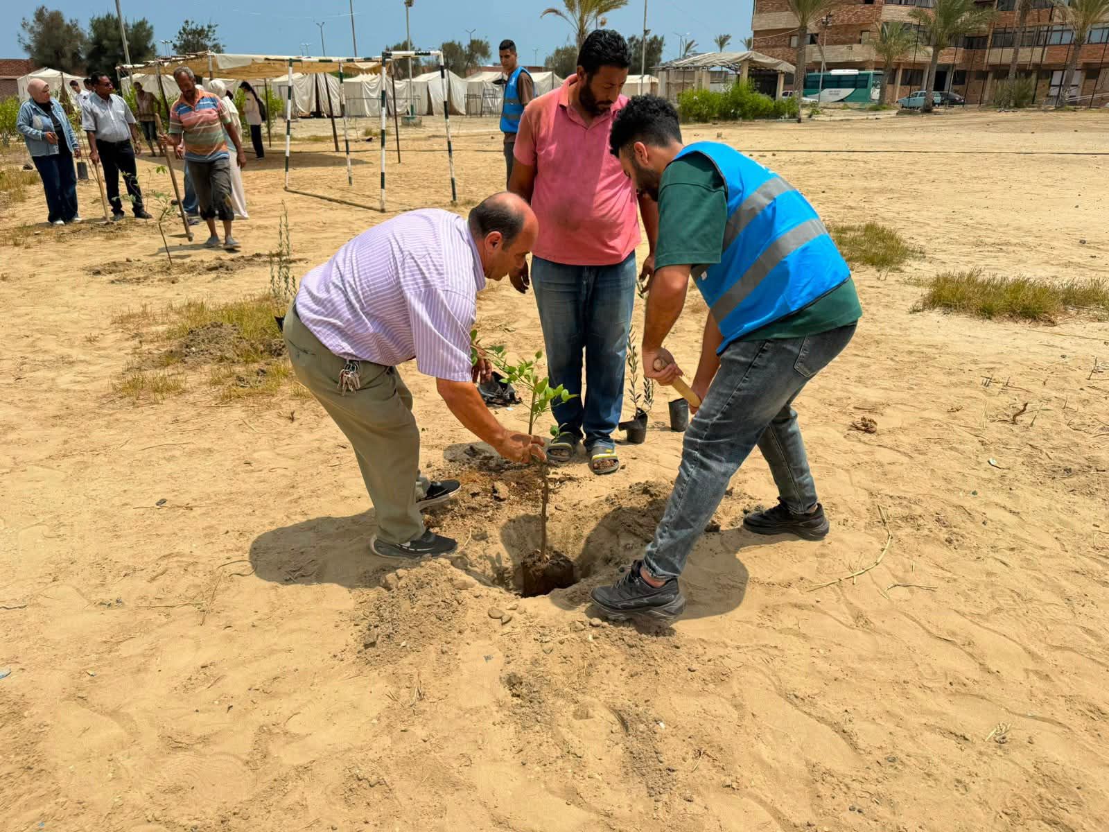 زراعة اشجار_1 زراعة اشجار_1