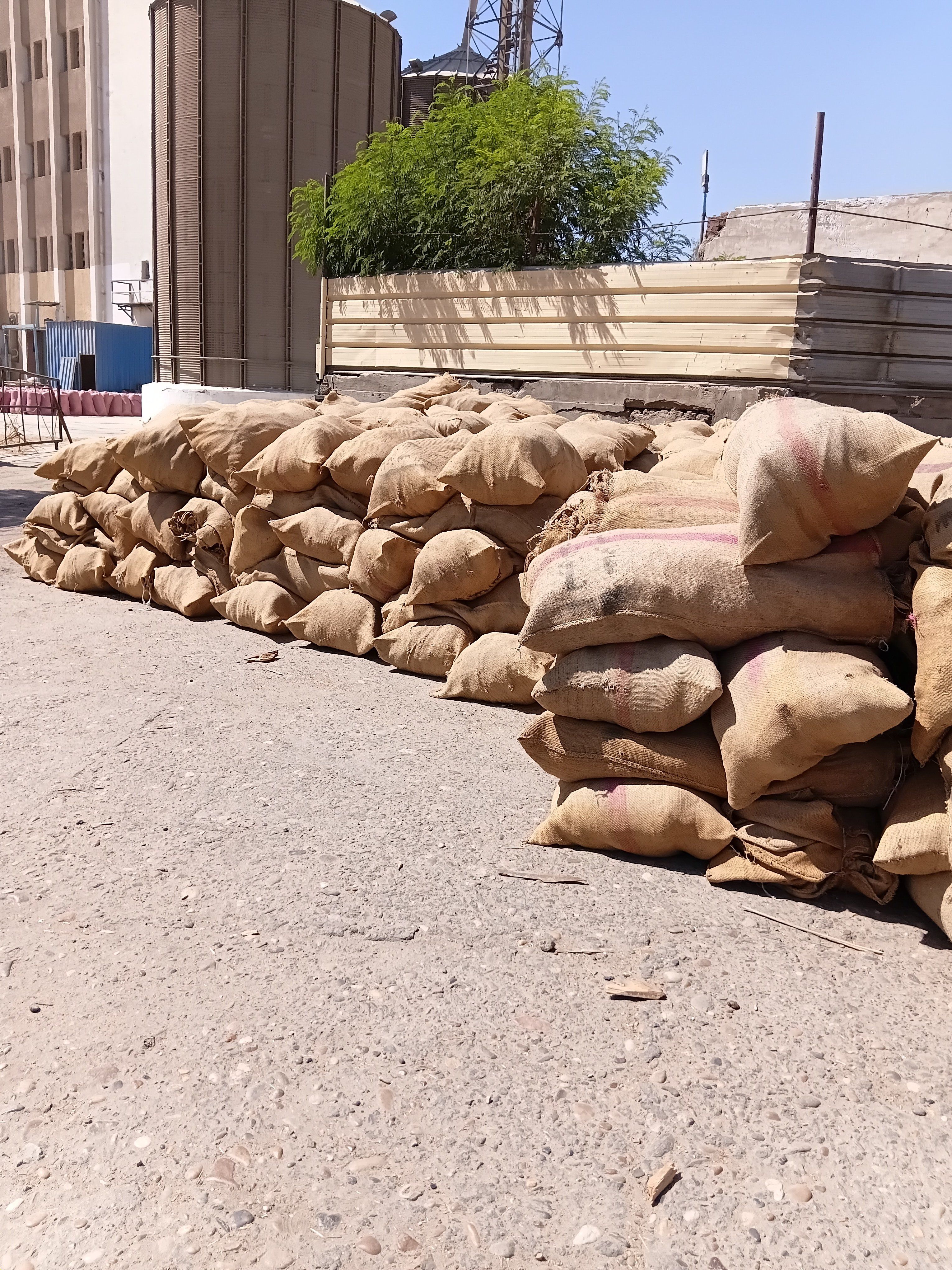 توريد القمح لصوامع كوم امبو بأسوان توريد القمح لصوامع كوم امبو بأسوان
