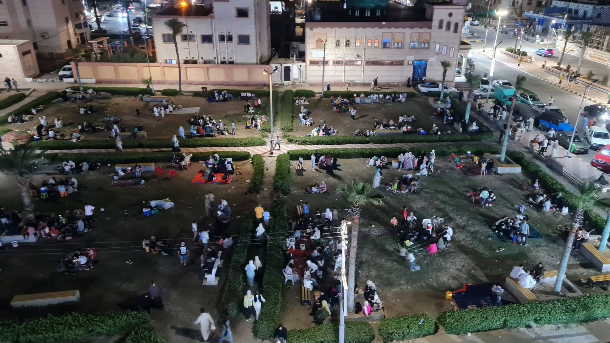 افتراش النجيل بمصيف بلطيم افتراش النجيل بمصيف بلطيم