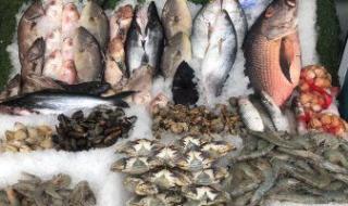 أسعار الأسماك فى مصر اليوم تسجل استقرارا.. والبلطى بـ68 جنيها للكيلو
