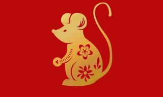 توقعات الأبراج الصينية 2024 لبرج الفأر الصيني في الحب والمال والصحة