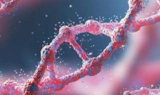 مختبرات
المستقبل
تتحدى
الطبيعة:
ثلاث
تقنيات
حيوية
ستغير
وجه
الحياة
هذا
العام