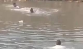 مصرع
طفل
غرقا
في
نهر
النيل
بالعجوزة