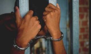 خفت
تتفضح
جريمتى..
اعترافات
المتهم
بإنهاء
حياة
طفلة
المنيب