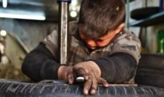 قانون العمل.. لجان عامة فى أقسام الشرطة للتدخل السريع لحماية الطفل