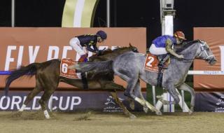 أمسية
      «سوبر
      ساترداي»
      ترسم
      طريق
      كأس
      دبي
      العالمي